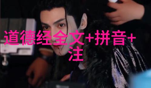 略析吴澄易学中的阴阳卦对思想 章伟文