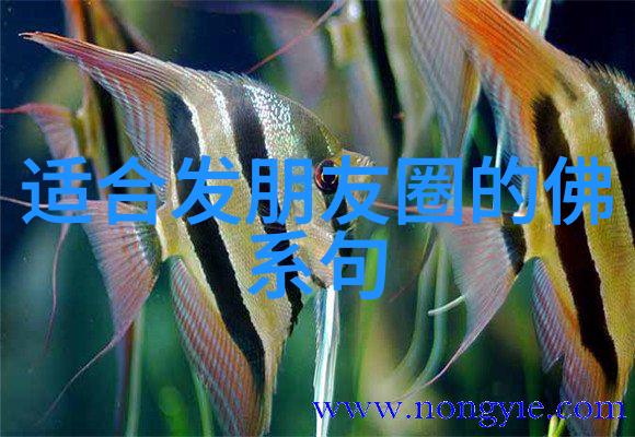 百字碑与注释_道教文化 -天然道观