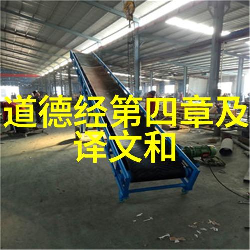 王安石的老子注探微 尹志华